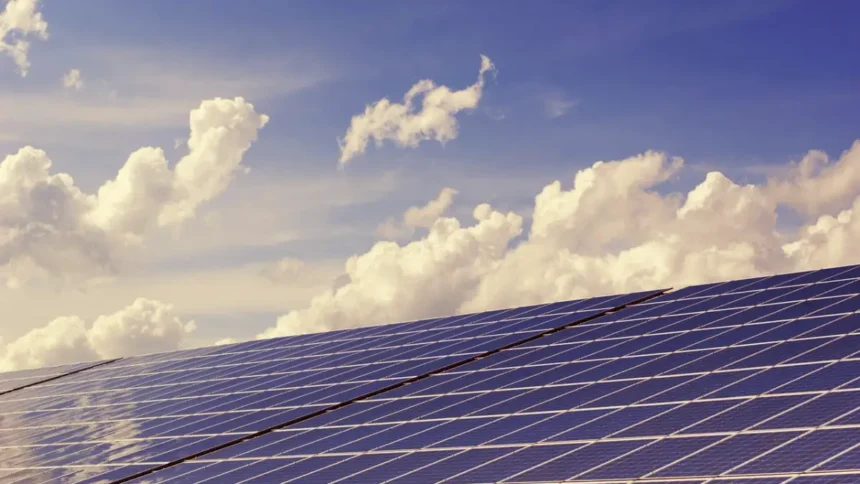 Drop in Waaree & Premier Energies Stocks